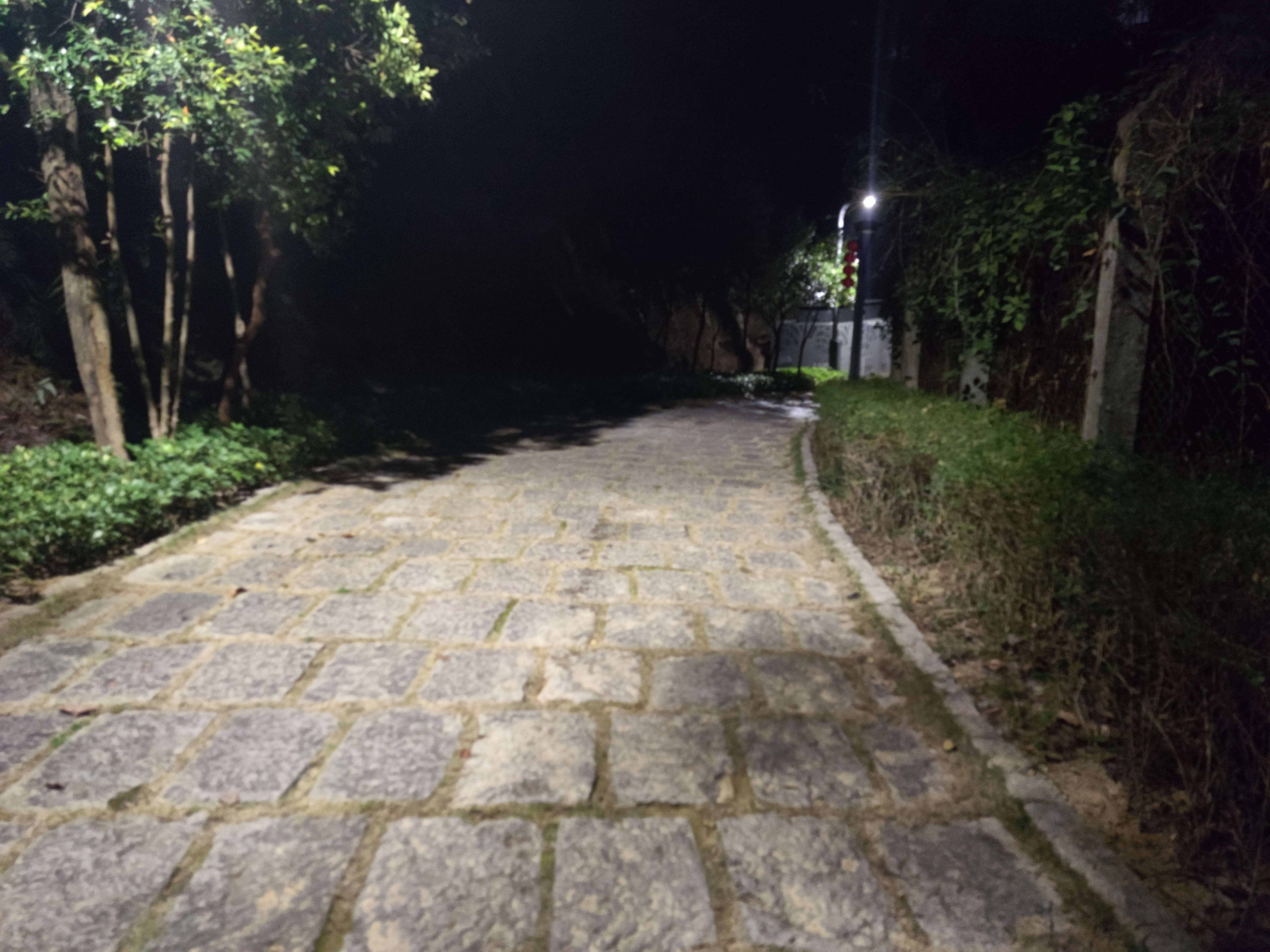 塘朗山 山底绿化道路