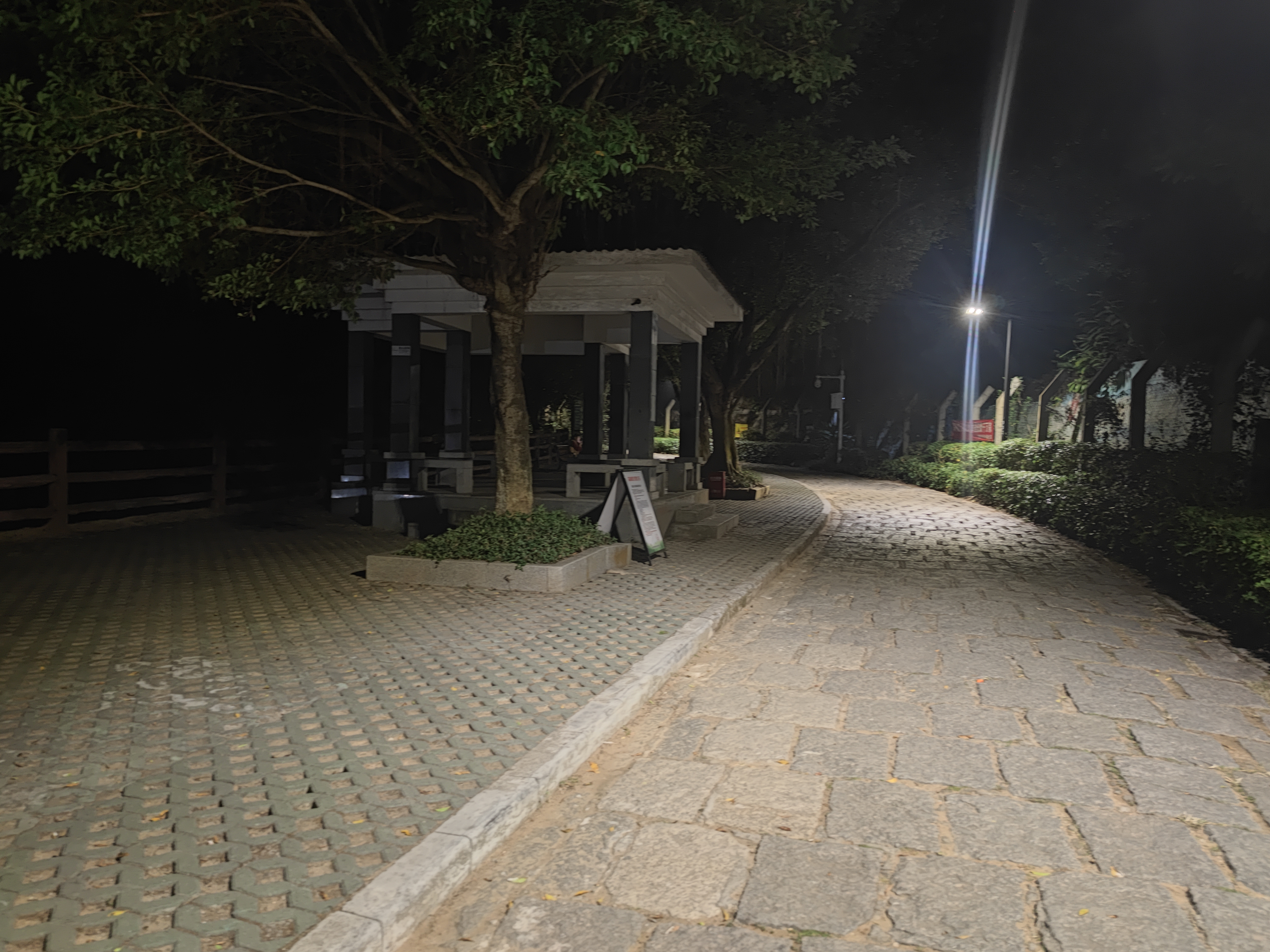 梧桐山 夜间小亭